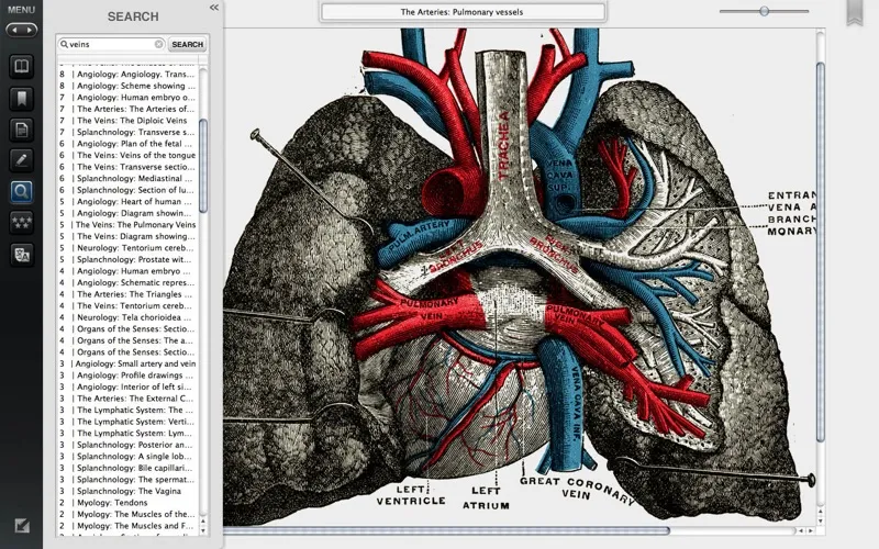 Ảnh chụp màn hình của Gray's Anatomy Premium Edition