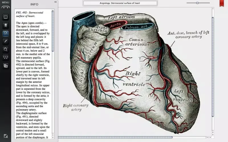 Gray's Anatomy Premium Edition Screenshots