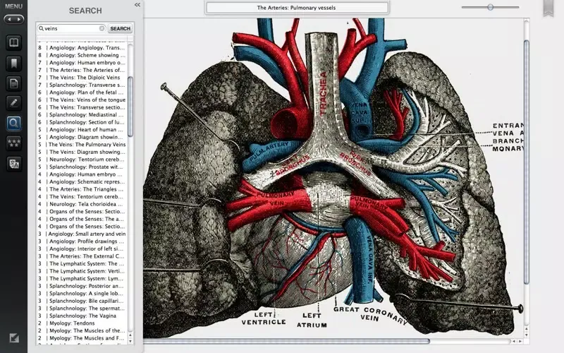 Gray's Anatomy Premium Edition Screenshots