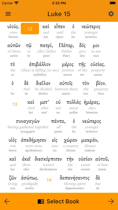 Capturas de pantalla de Interlinear Bible