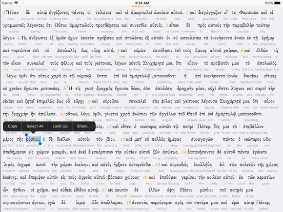 تصاویر Interlinear Greek iPad 