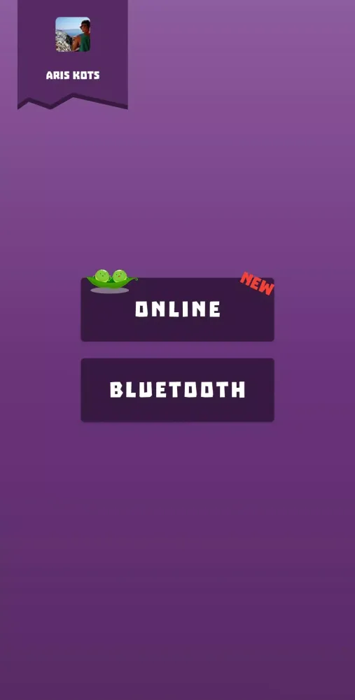 Name Place Animal Thing Screenshots