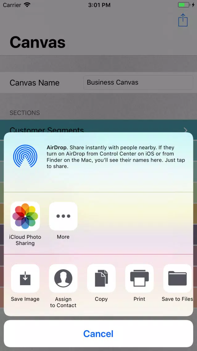 Business Canvas Remote Screenshots