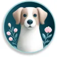 Dog Life: Pet Health Care Dog Life: Pet Health Care