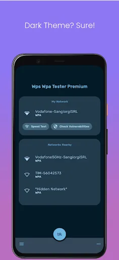 Wps Wpa Tester Premium应用截图