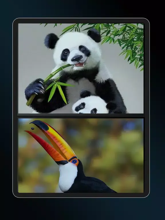 4K Wallpapers - خلفيات hd iPad 应用截图