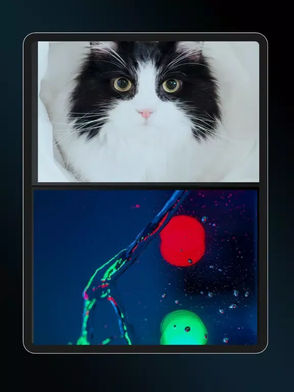 4K Wallpapers - خلفيات hd iPad 应用截图