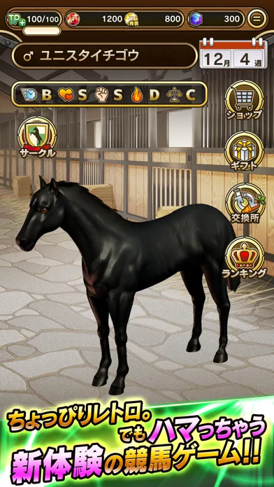 Zrzuty ekranu UNIVERSAL STALLION