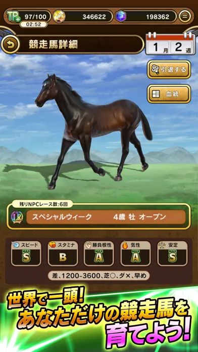 Zrzuty ekranu UNIVERSAL STALLION