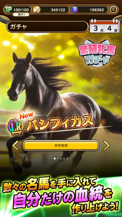 Zrzuty ekranu UNIVERSAL STALLION