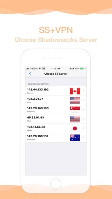 SS+VPN - Secure Web Surfing Screenshots