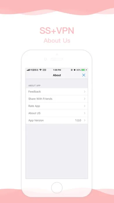 SS+VPN - Secure Web Surfing Screenshots
