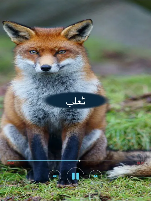 اصوات واسماء الحيوانات,Animal sounds iPad  سکرین شاٹس