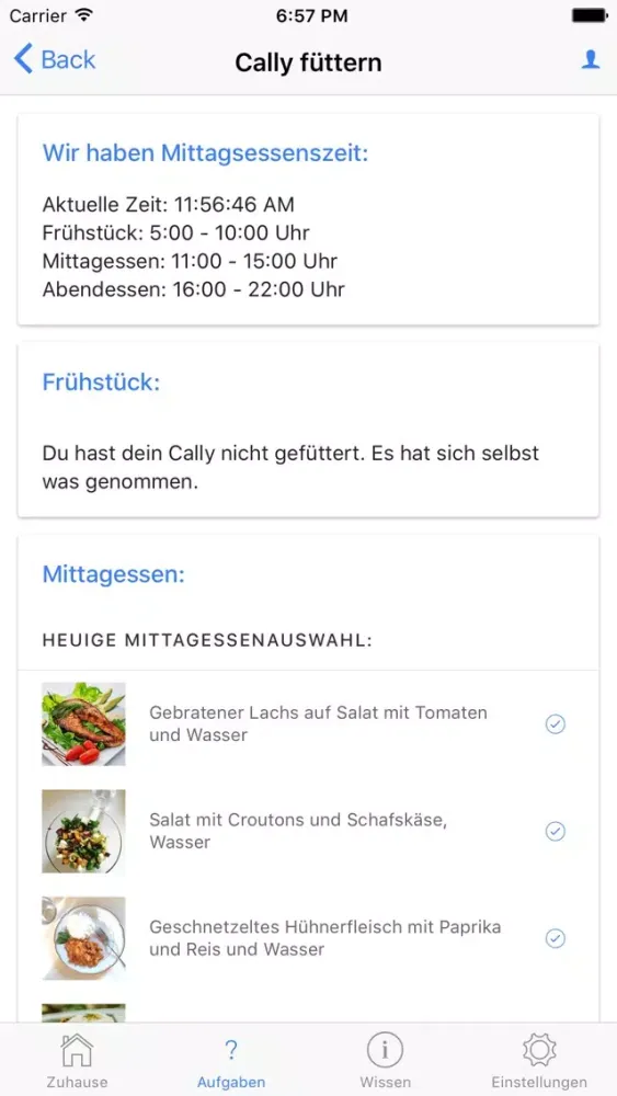 Die Cally App Ekran Görüntüleri