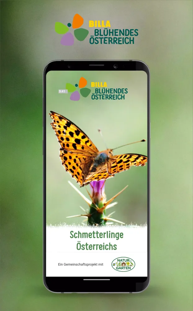 Schmetterlinge Österreichs Screenshots