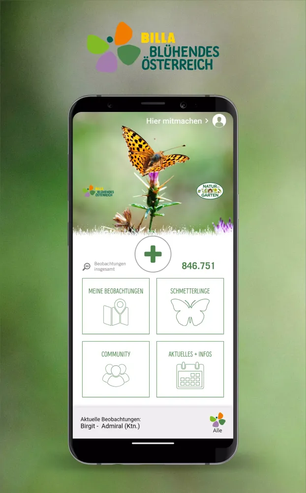 Schmetterlinge Österreichs Screenshots
