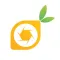 Citrus Media