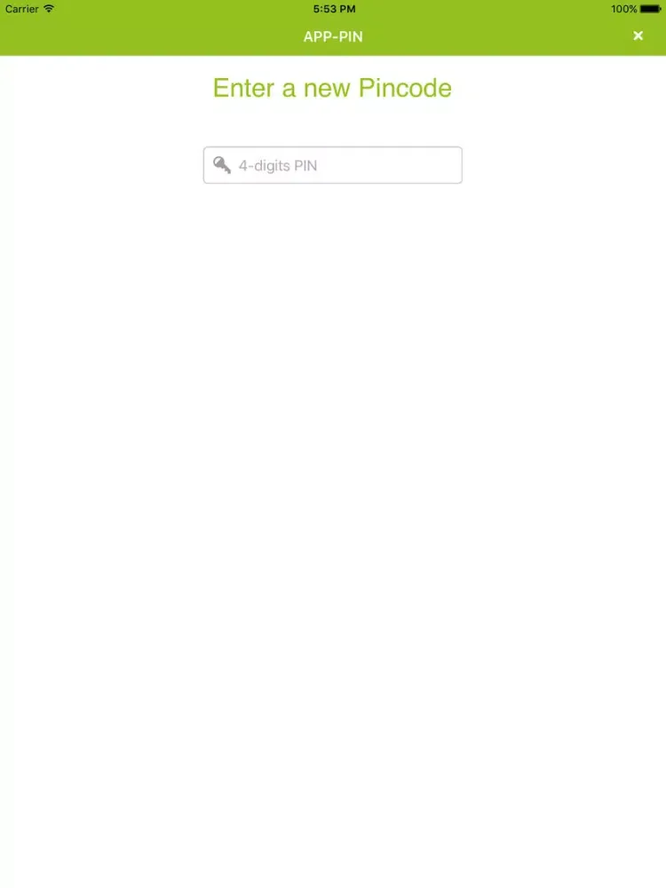 Zrzuty ekranu Secure Data Exchange iPad 