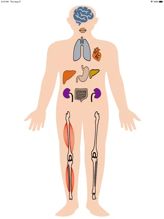 Tangkapan layar Metabolic Organs iPad 