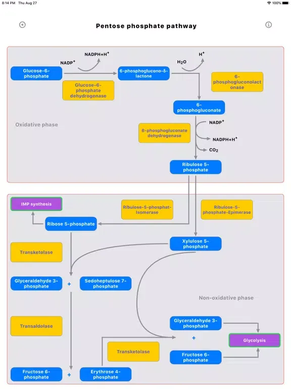 Tangkapan layar Metabolic Organs iPad 