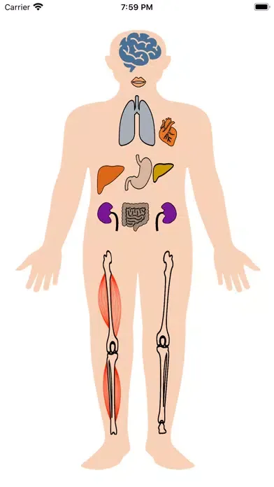 Tangkapan layar Metabolic Organs