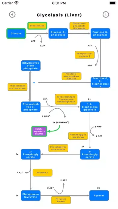 Tangkapan layar Metabolic Organs