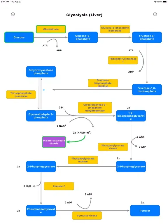Tangkapan layar Metabolic Organs