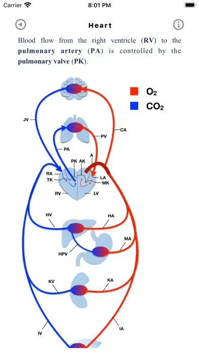 Tangkapan layar Metabolic Organs