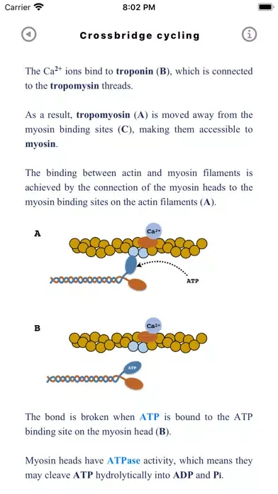 Tangkapan layar Metabolic Organs