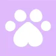Feli - Cute Cats & Kitties Feli - Cute Cats & Kitties