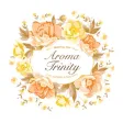 AroMa TriNity AroMa TriNity