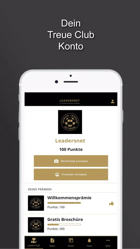 Zrzuty ekranu Leadersnet