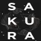 Sakura Bowl