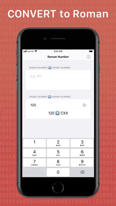Roman Number Converter应用截图