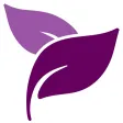 Robert Franz App Robert Franz App