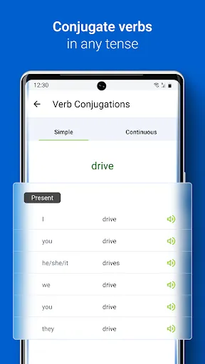 Screenshot di iTranslate Translator