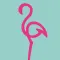 Radio Flamingo