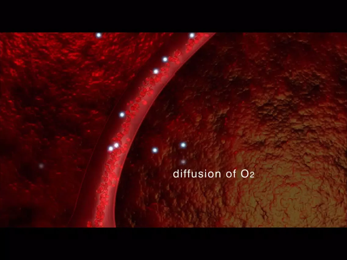 Tangkapan skrin Oxidative Phosphorylation iPad 