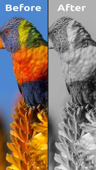 Capturas de pantalla de Photo Presets & Filters Pro