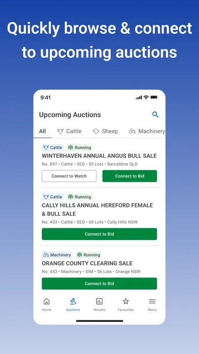 AuctionsPlus Screenshots