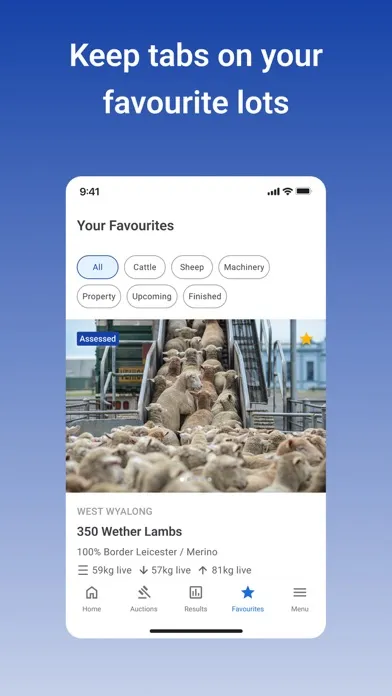 AuctionsPlus Screenshots