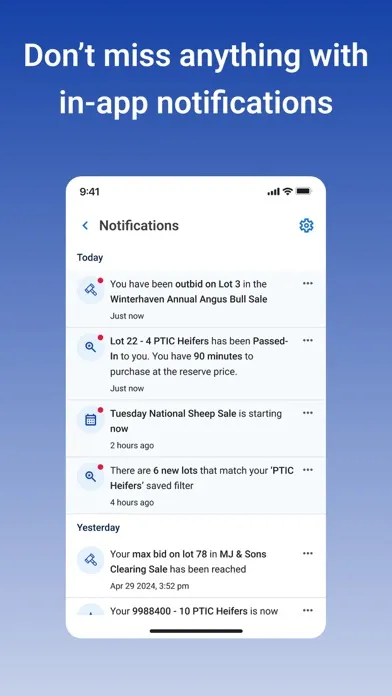 AuctionsPlus Screenshots