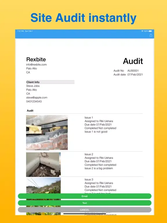 Capturas de pantalla de Site Audit Maker iPad 