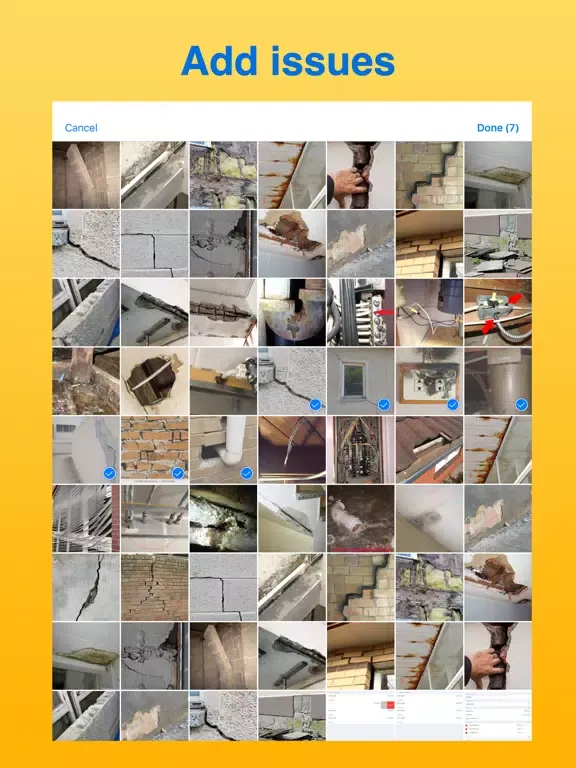 Capturas de pantalla de Site Audit Maker iPad 