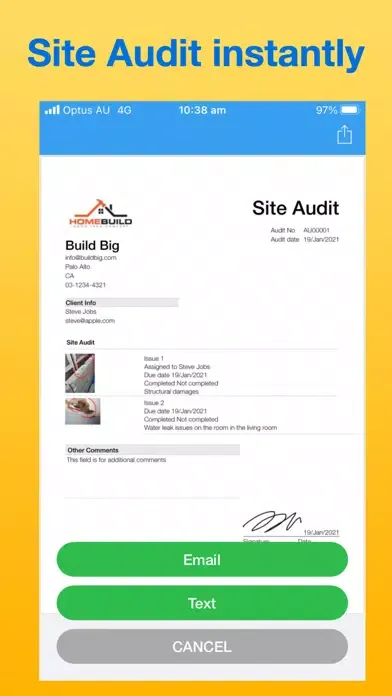 Capturas de pantalla de Site Audit Maker