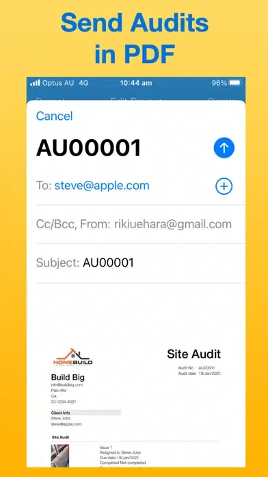 Capturas de pantalla de Site Audit Maker