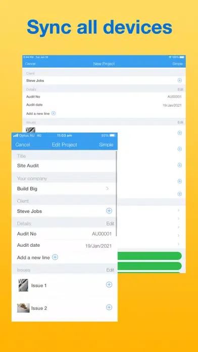 Capturas de pantalla de Site Audit Maker