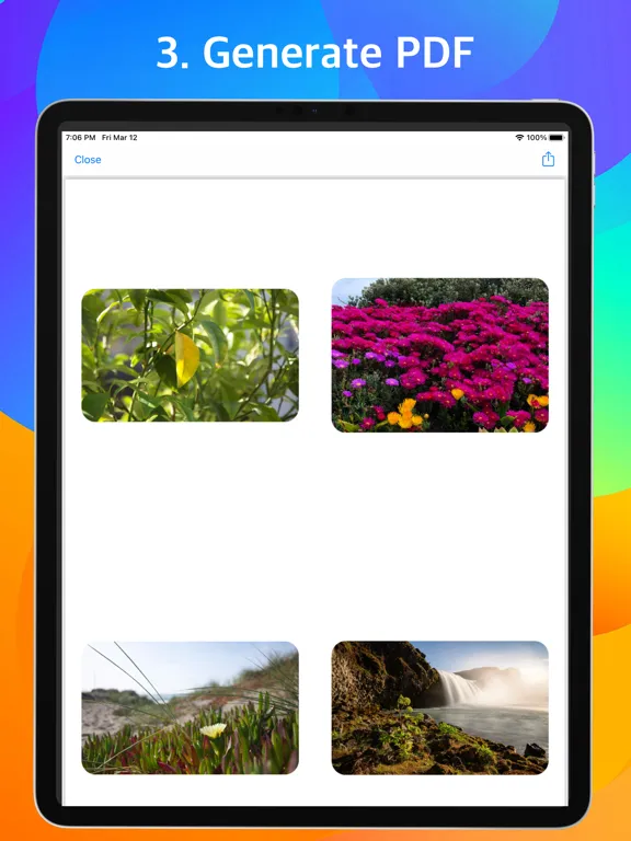 Скриншоты PDF Photo iPad 