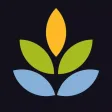 Spark Weight Loss Motivation