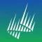 Aurora Forecast Now